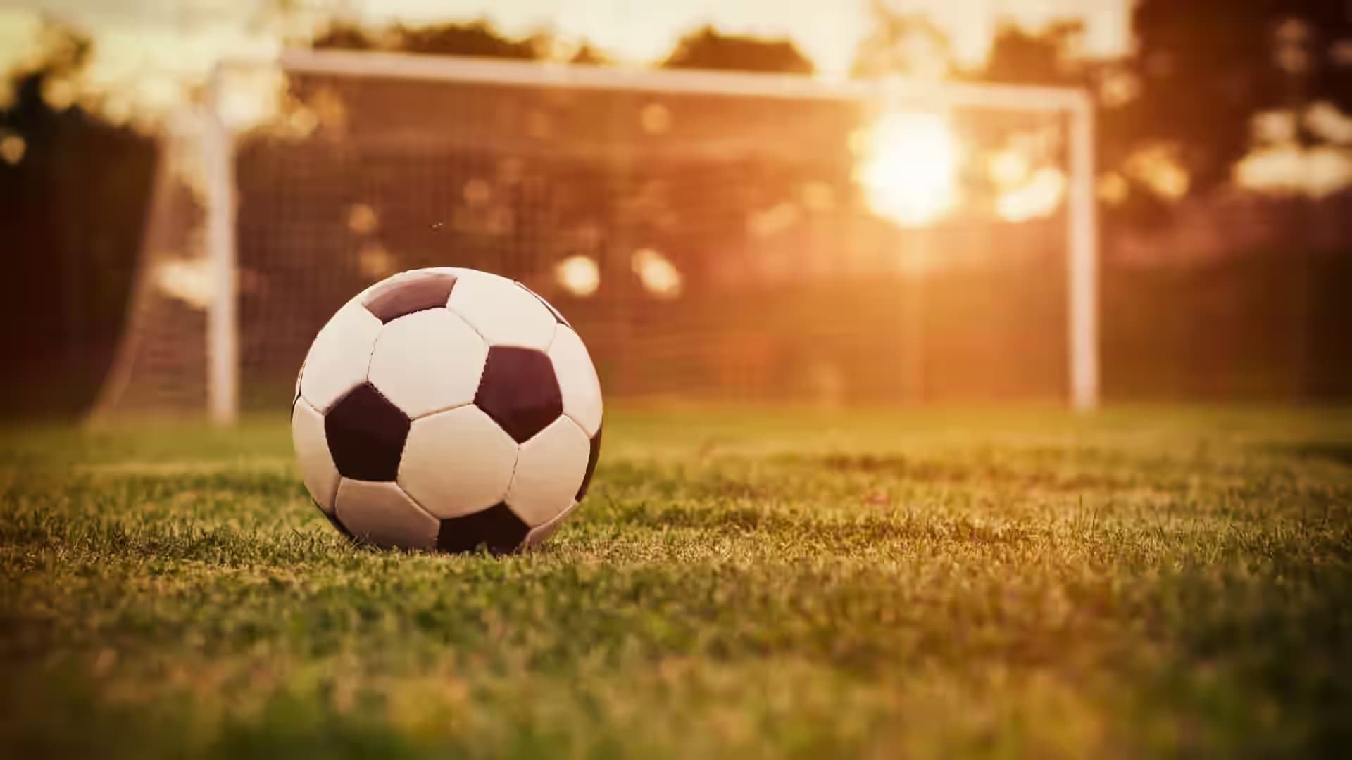 Software de gestión de complejos deportivos